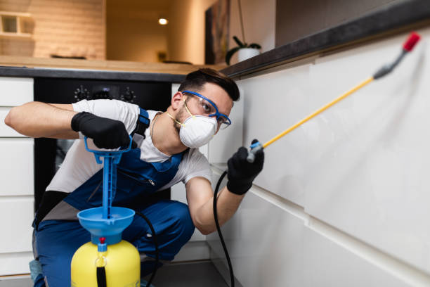 Best Mosquito Control Services  in Watertown, FL