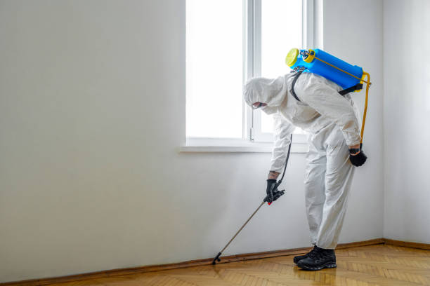 Pest Control for Restaurants in Watertown, FL